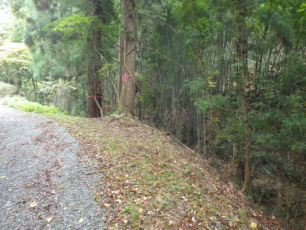 与謝野治山堰堤工事　令和2年3月竣工